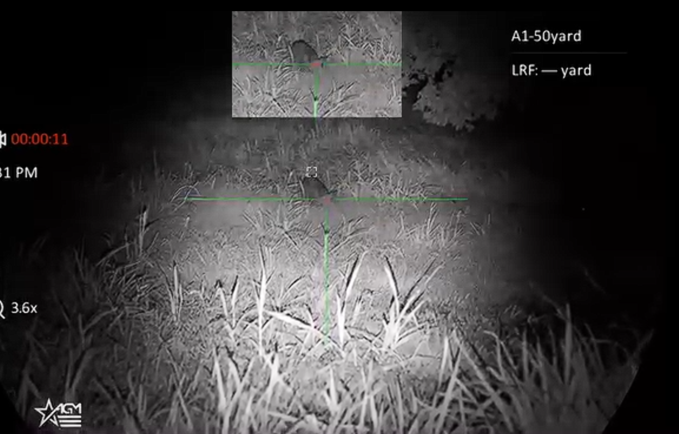 IR Hunting Light with Night Vision Hog viewed with IR illumination through a night vision scope